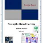 Strategy-Matrix-Career-Scouting-Report-Cover-12-243×300.jpg